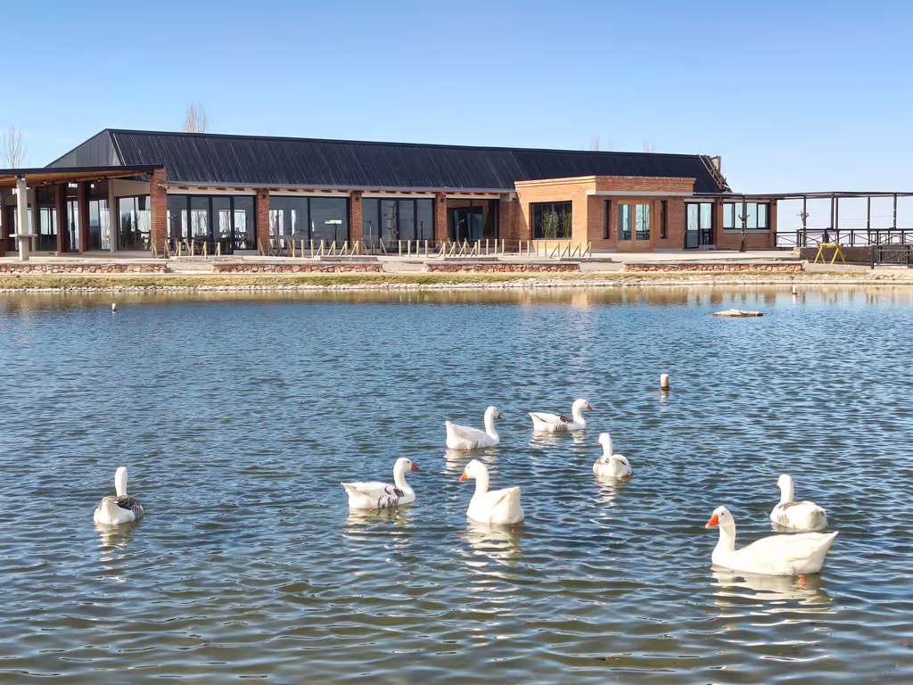 Mendoza Private Tour - 