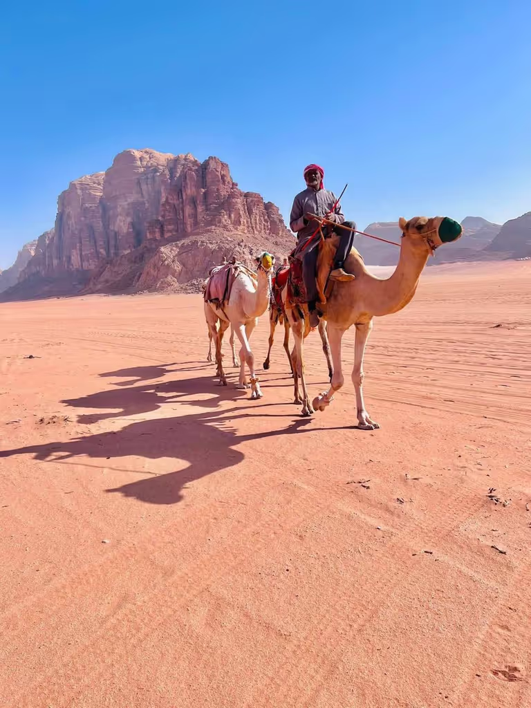 Petra Private Tour - 