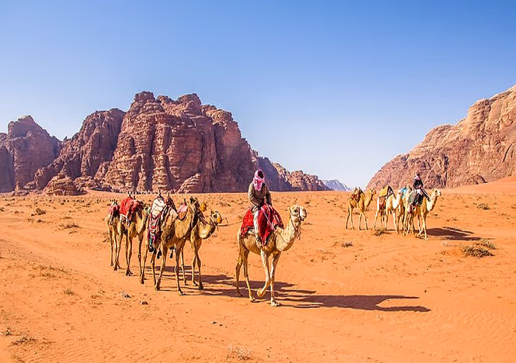 Petra Private Tour - 