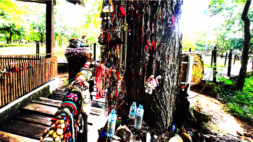 Siem Reap Private Tour - The Killing Tree at Choeung Ek – a tragic site where Khmer Rouge soldiers brutally killed children, now covered with bracelets and offerings left by visitors to honor their memory.