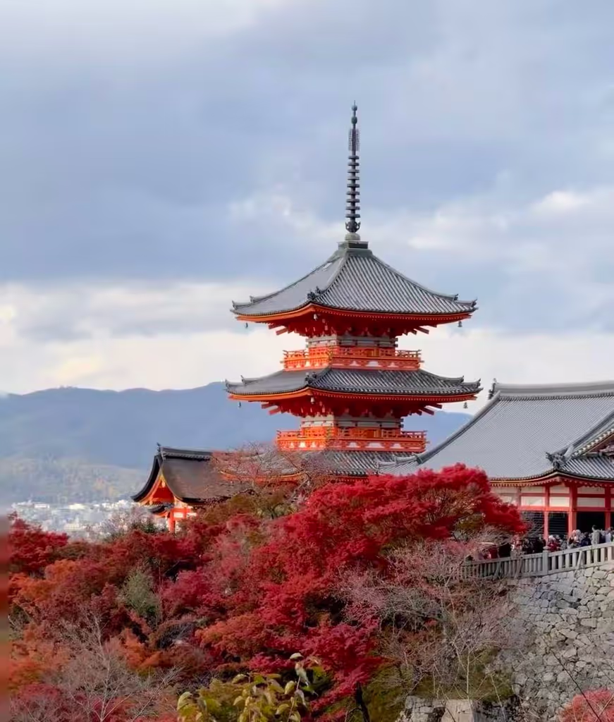 Osaka Private Tour - 
