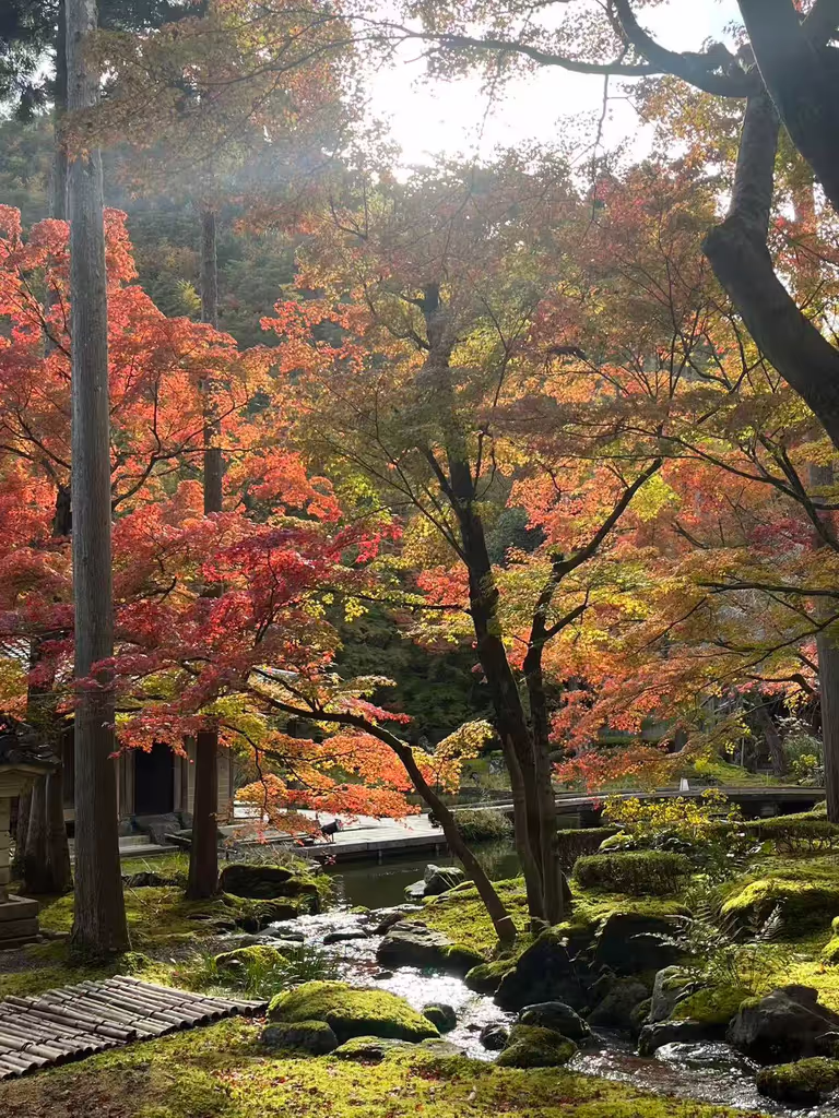 Osaka Private Tour - 