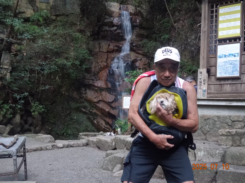 Hyogo Private Tour - 