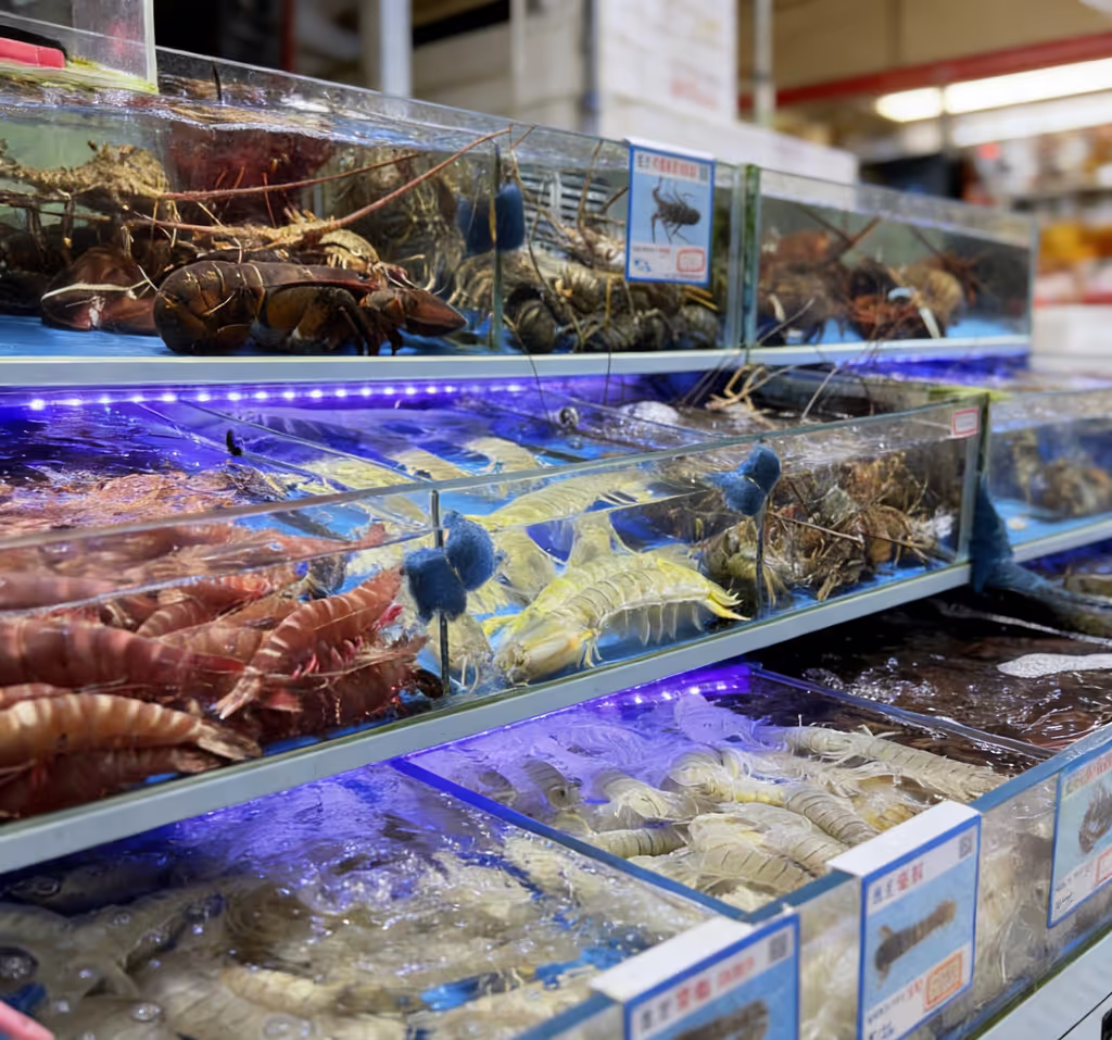 Fujian Private Tour - 