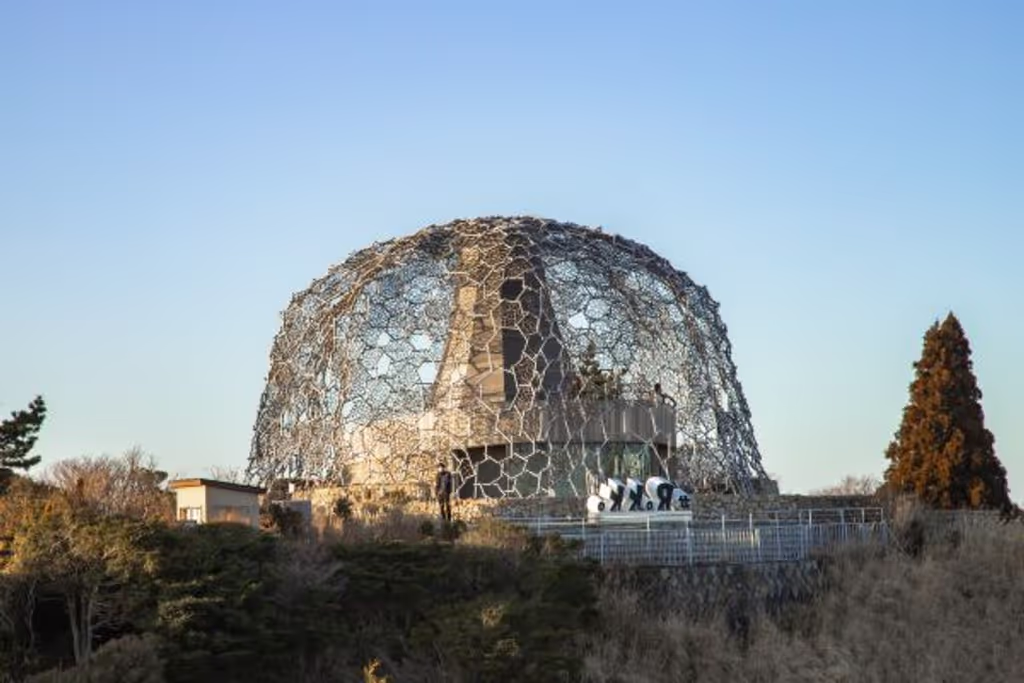 Hyogo Private Tour - 