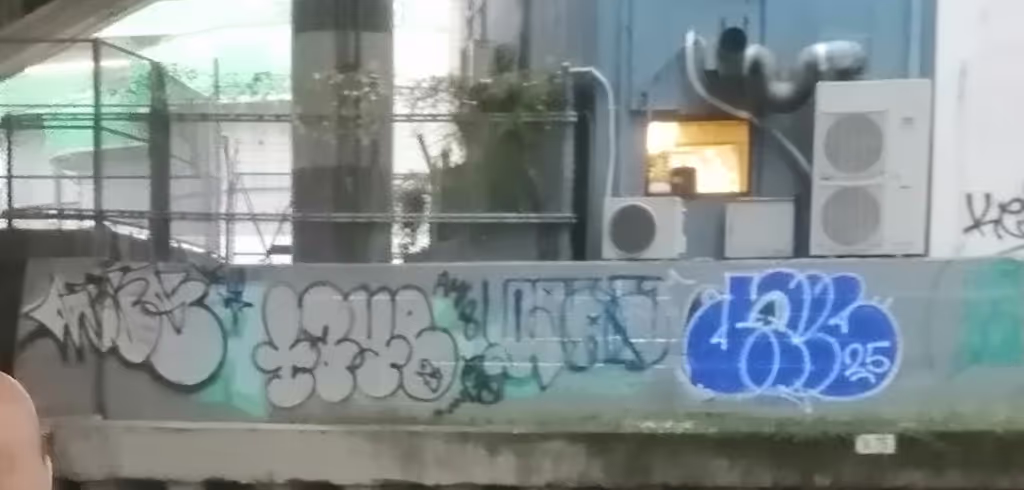 Osaka Private Tour - 