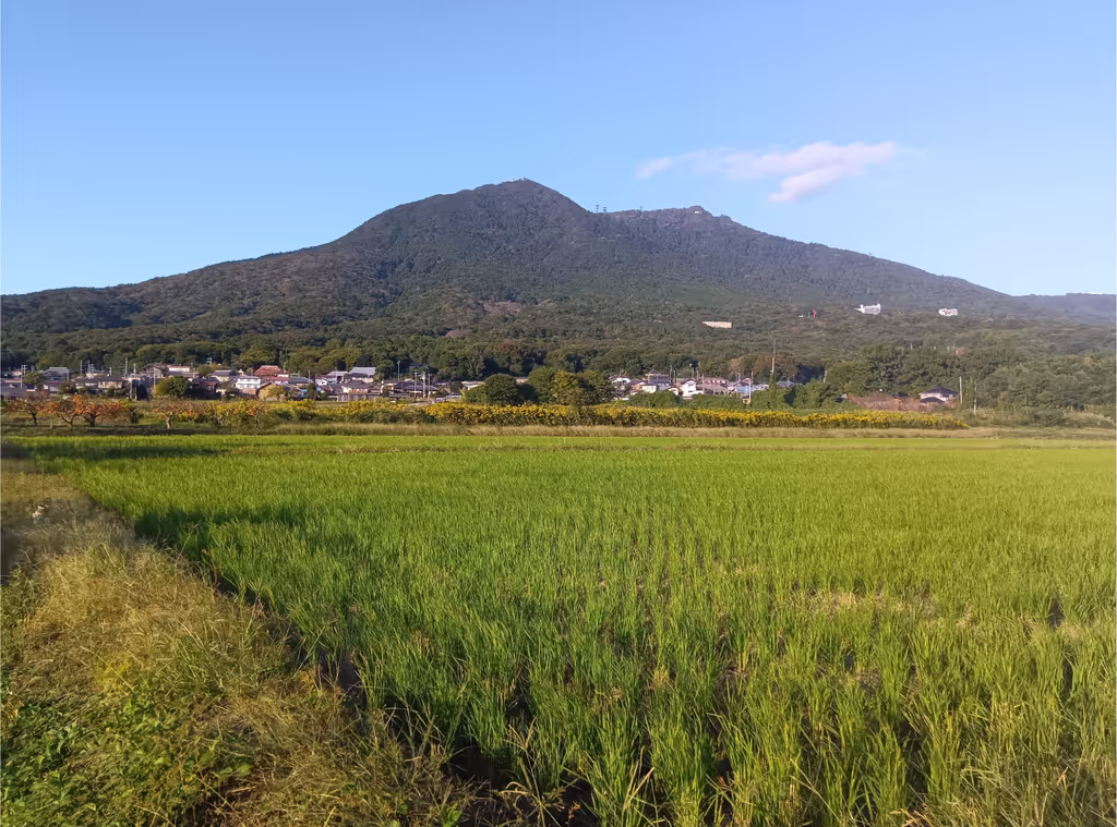 Ibaraki Private Tour - Mt. Tsukuba in autumn