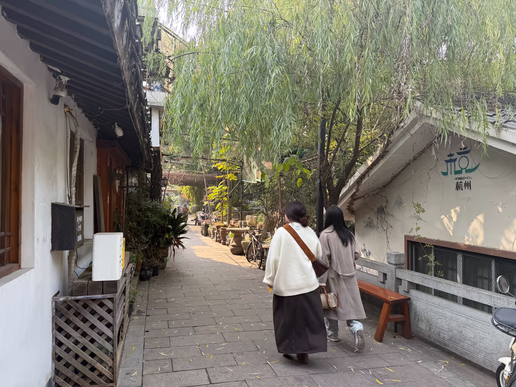 Hangzhou Private Tour - Wuliu Lane