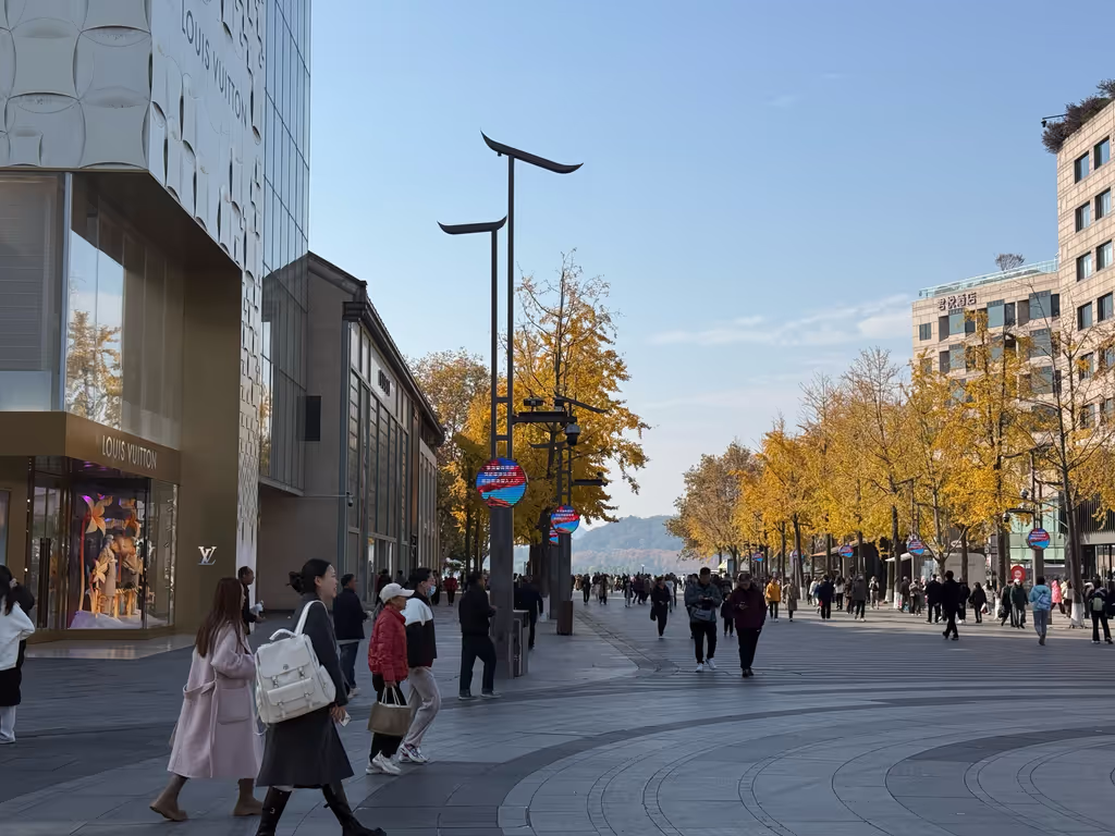 Hangzhou Private Tour - Hubin Pedestrian Street