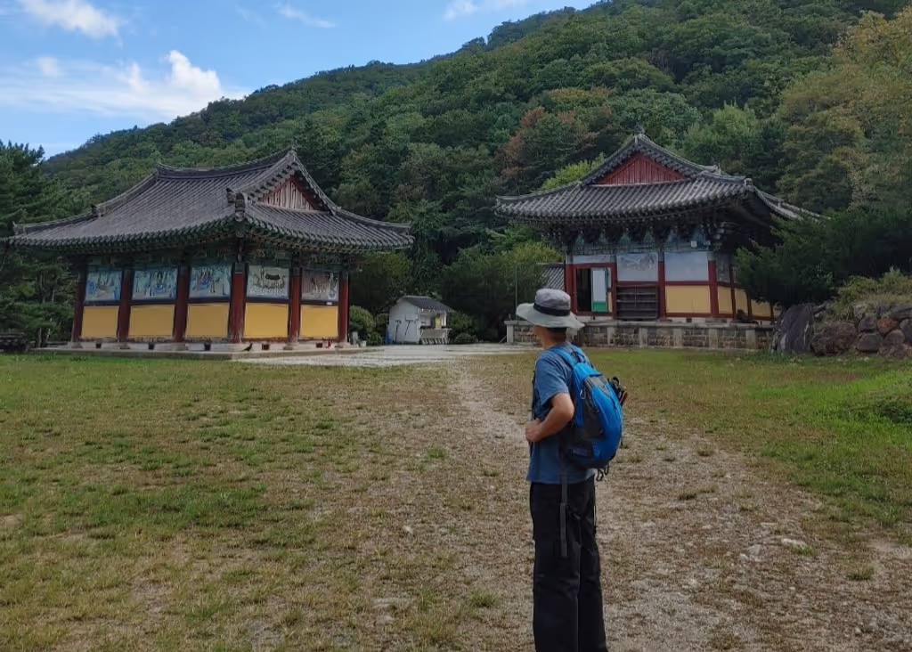 Seoul Private Tour - Visiting temples