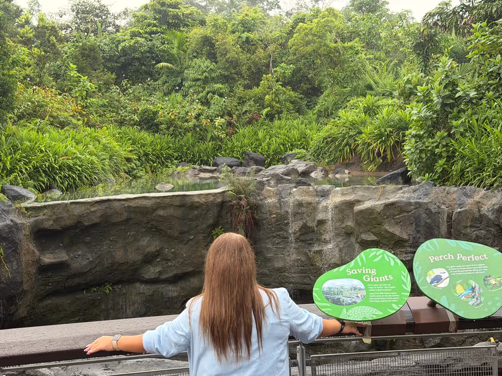 Singapore Private Tour - A serenity moment in nature is a fleeting yet profound experience where one finds peace amidst the natural world