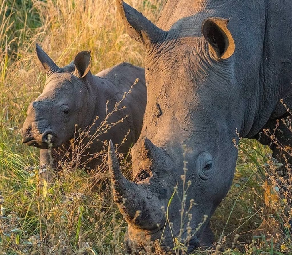 Kigali Private Tour - 