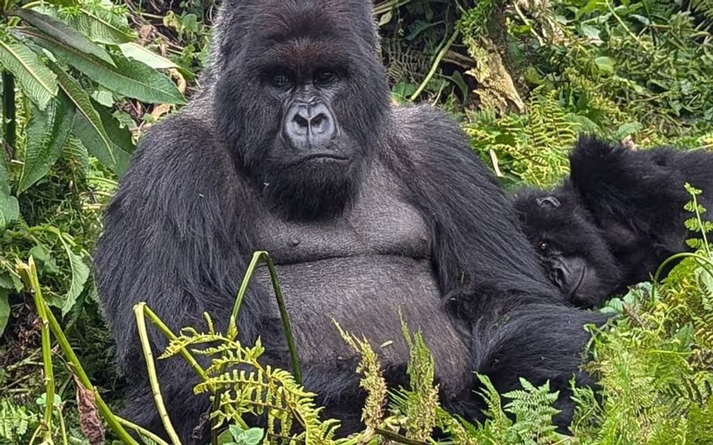 Kigali Private Tour - 