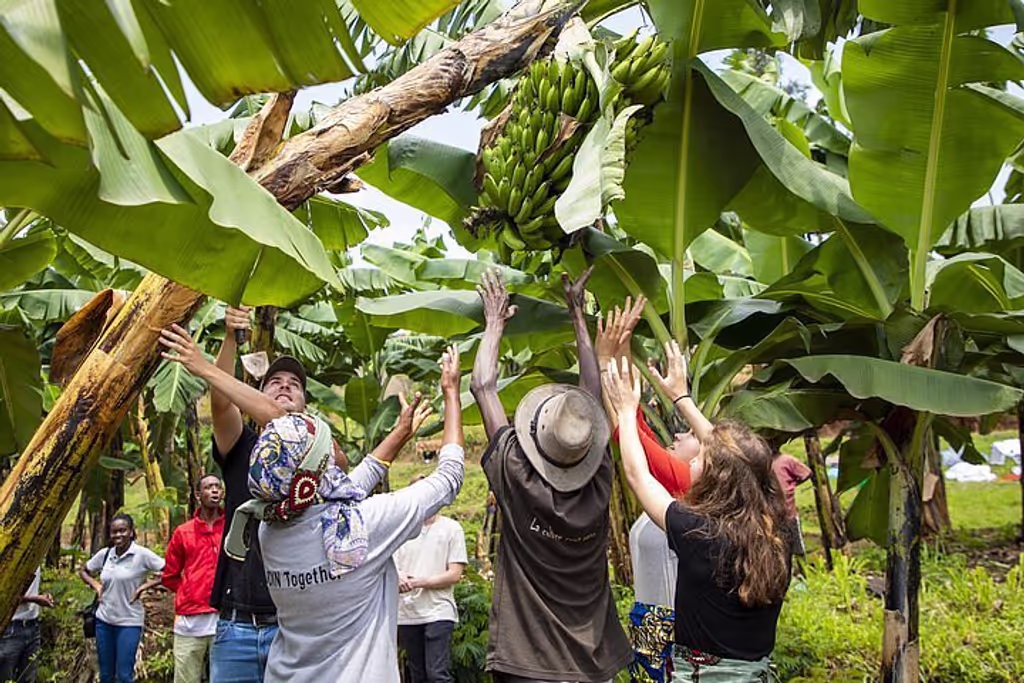 Kigali Private Tour - 