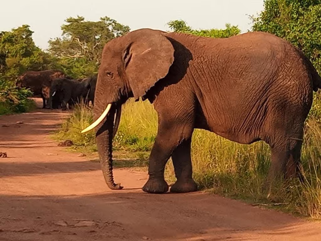 Kigali Private Tour - 