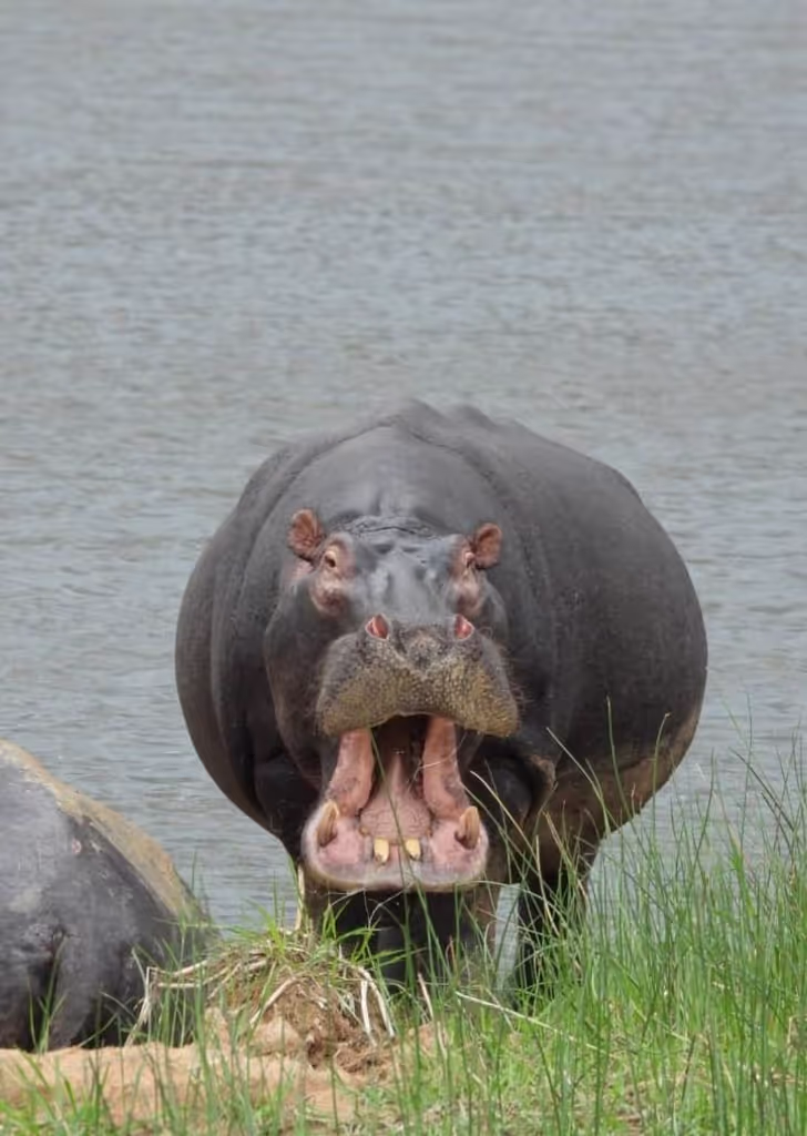 Kigali Private Tour - 