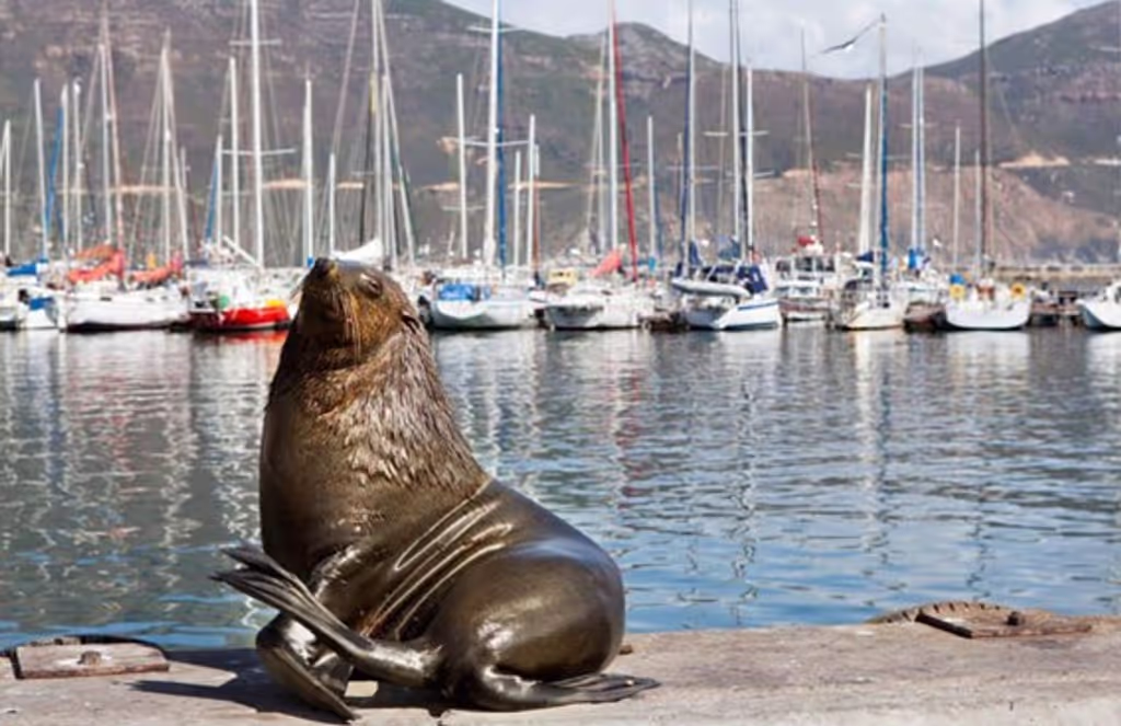 Cape Town Private Tour - 