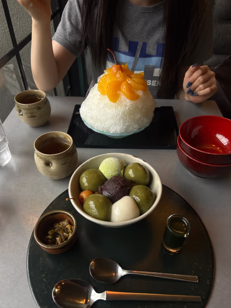 Hyogo Private Tour - Mochi 