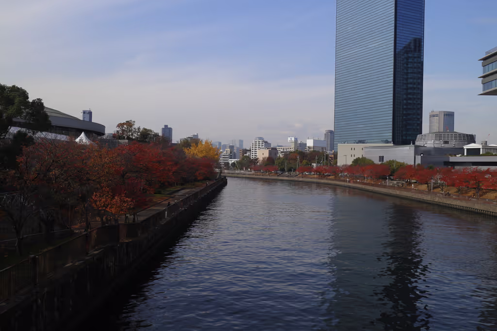 Hyogo Private Tour - 