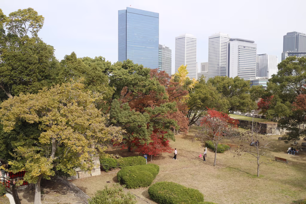 Hyogo Private Tour - 