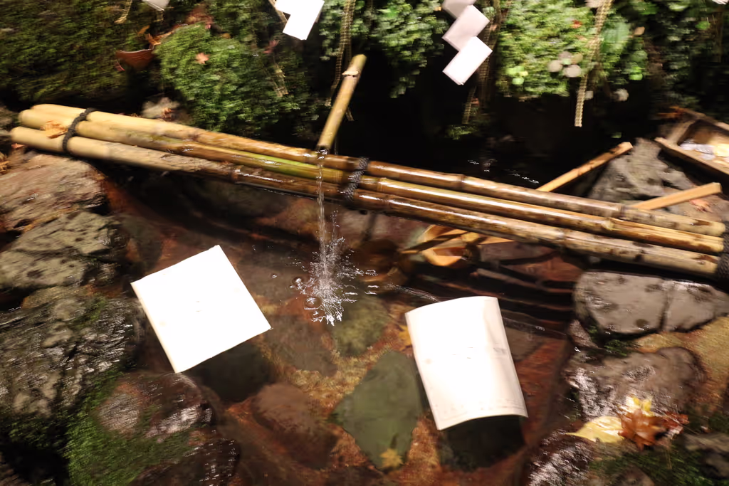 Hyogo Private Tour - 