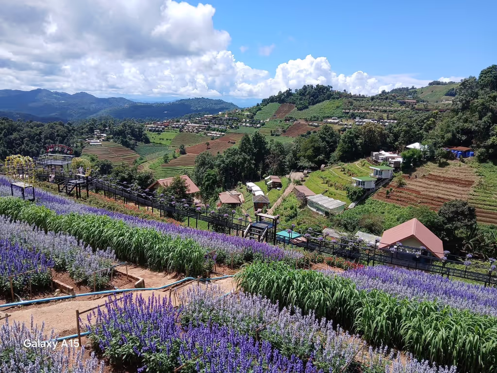 Chiang Mai Private Tour - Mon Jam