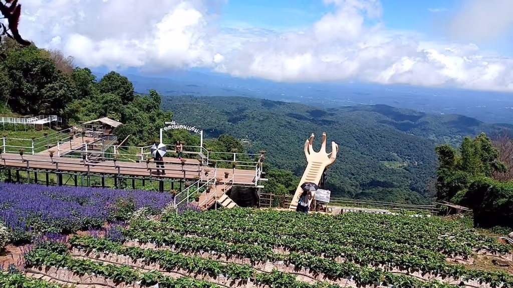 Chiang Mai Private Tour - Mon Jong