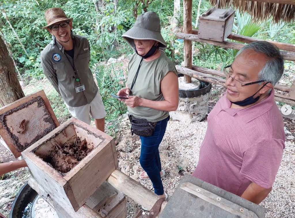 Tulum Private Tour - Learning about Mayan native bees at rural towns