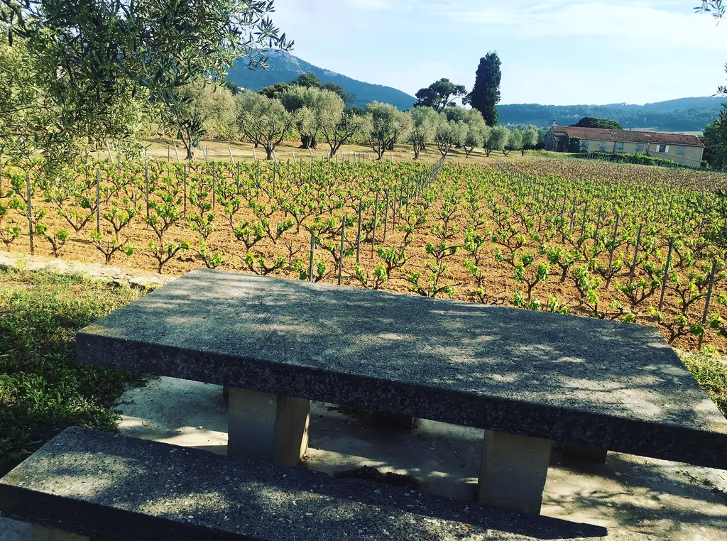 Provence-Alpes-Cote d'Azur Private Tour - 