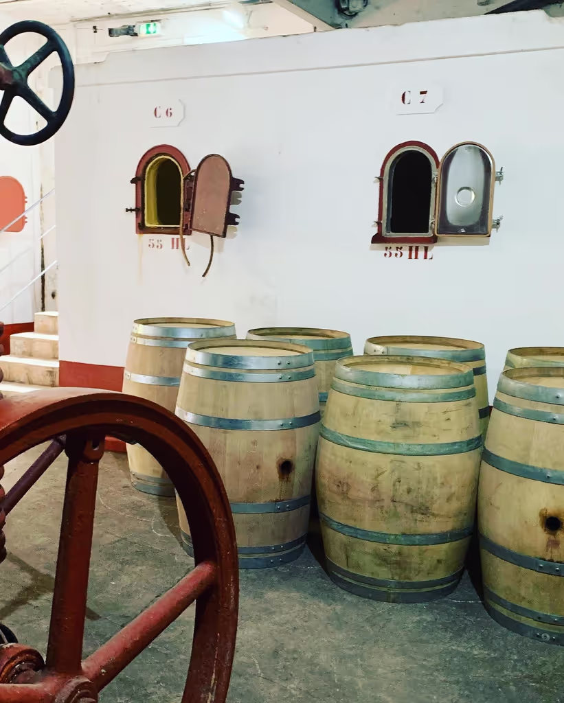 Provence-Alpes-Cote d'Azur Private Tour - 