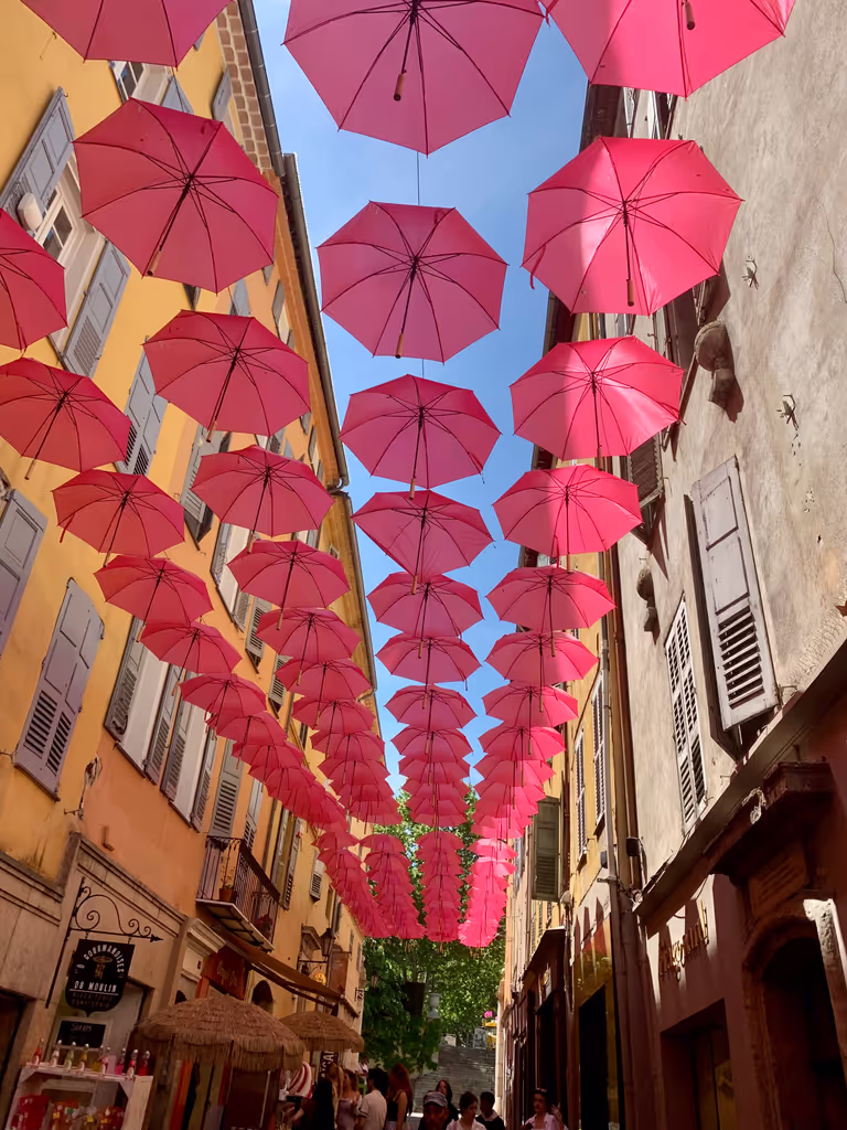 Provence-Alpes-Cote d'Azur Private Tour - 