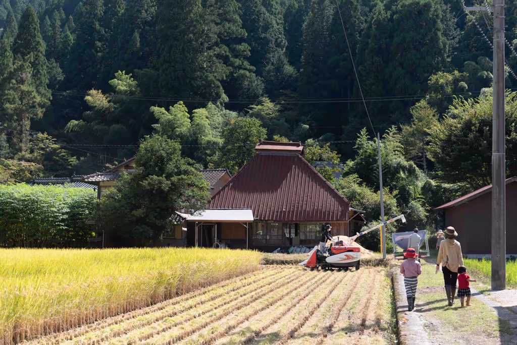Hiroshima Private Tour - Rice harvesting in autumn