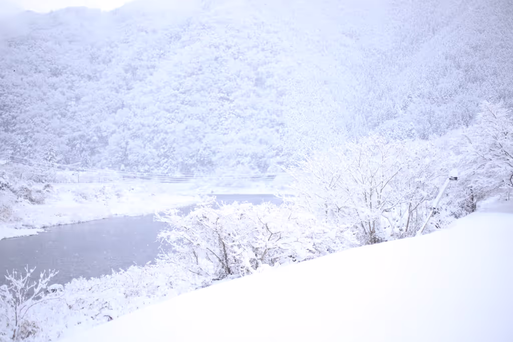 Hiroshima Private Tour - Snowy landscape in winter