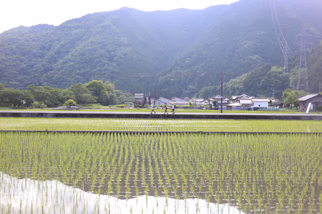 Hiroshima Private Tour - Rice fields and children on their way to school