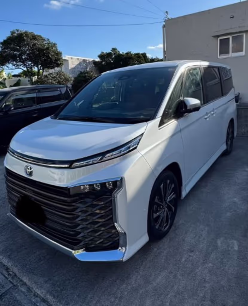 Okinawa Main Island Private Tour - Voxy mini van