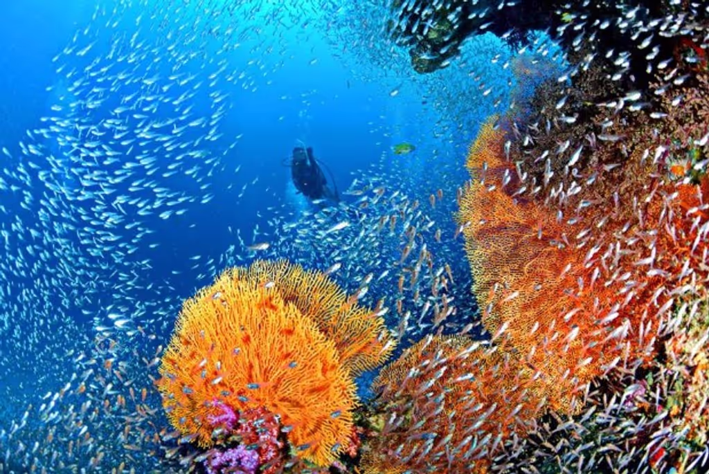 Bangkok Private Tour - 