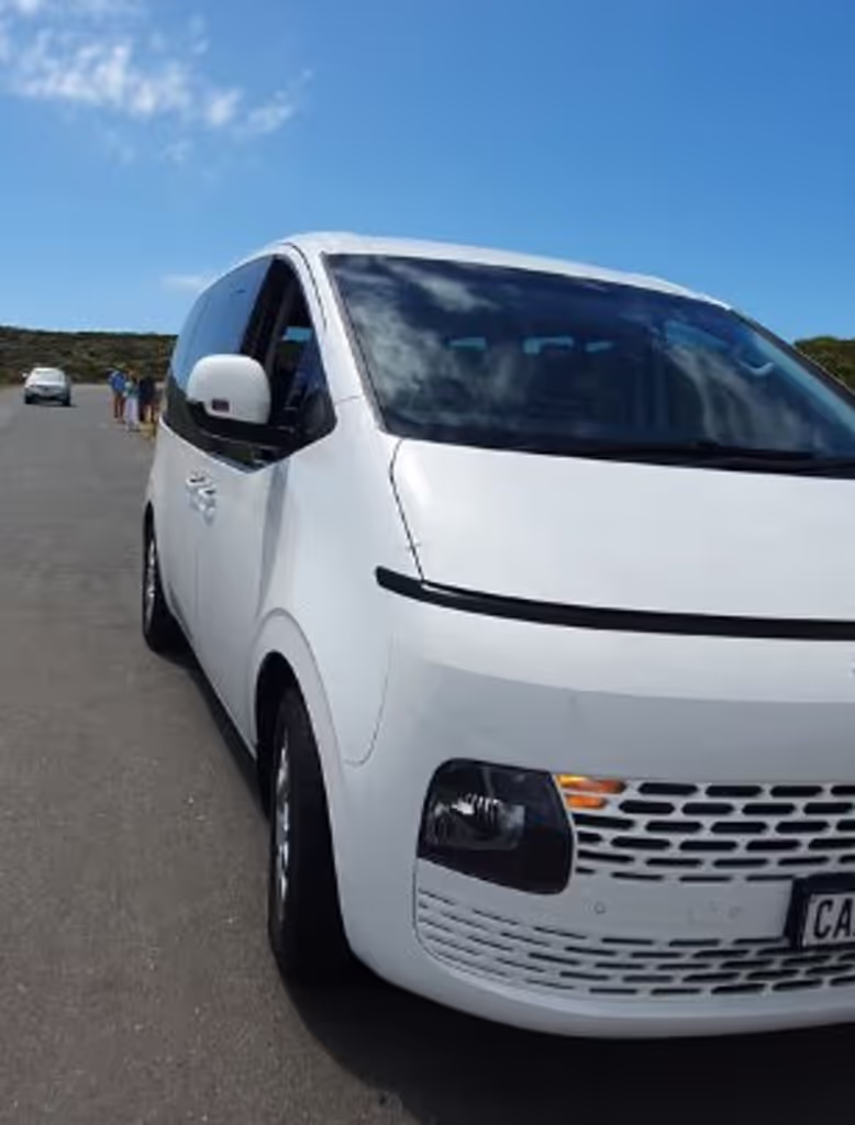 Cape Town Private Tour - 