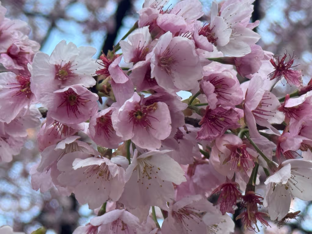 Osaka Private Tour - 