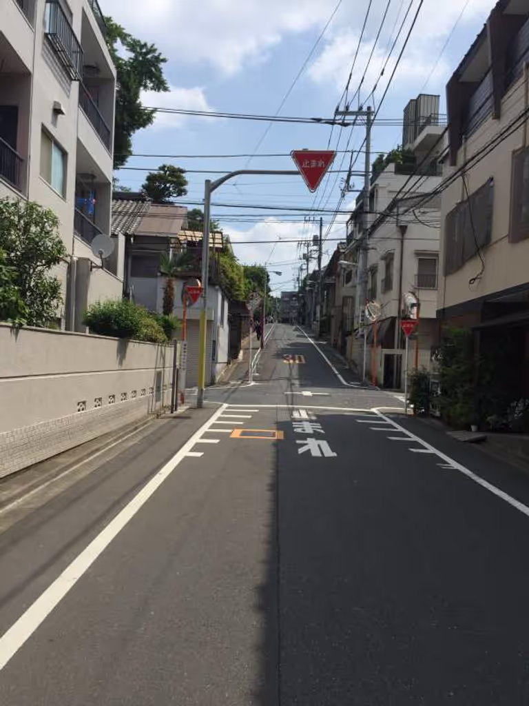 Tokyo Private Tour - 