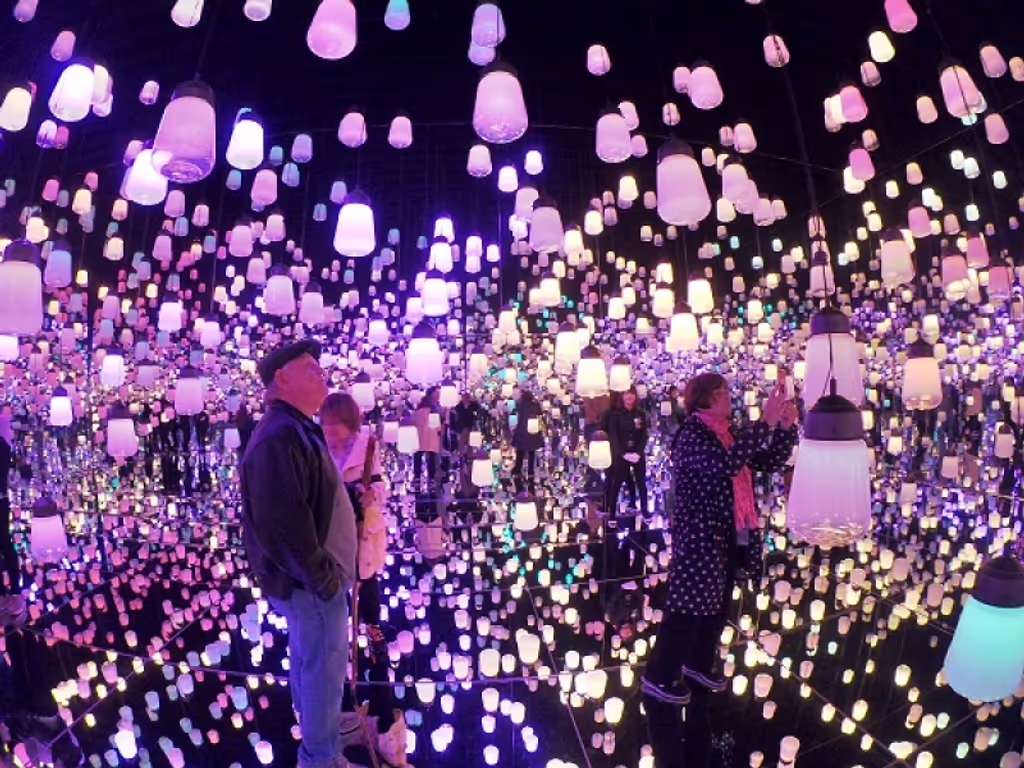 Yokohama Private Tour - Mori digital art museum