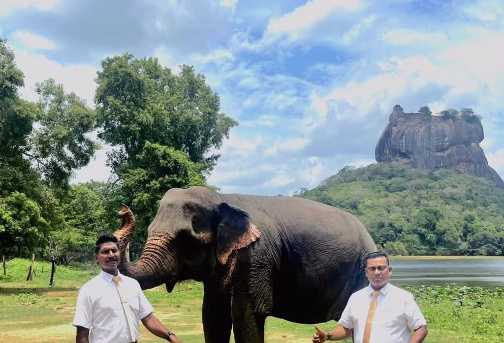 Negombo Private Tour - 