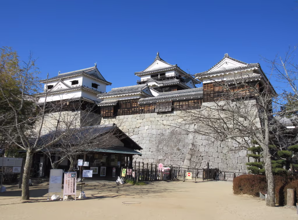 Ehime Private Tour - Matsuyama castle