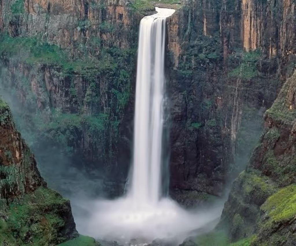 Kilimanjaro Private Tour - 