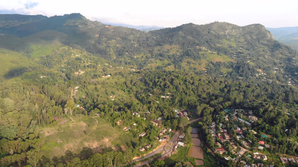 Kilimanjaro Private Tour - 