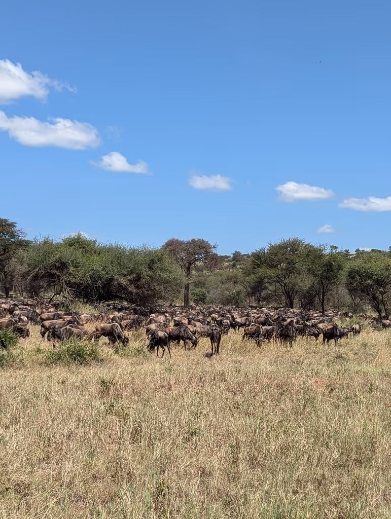 Kilimanjaro Private Tour - 