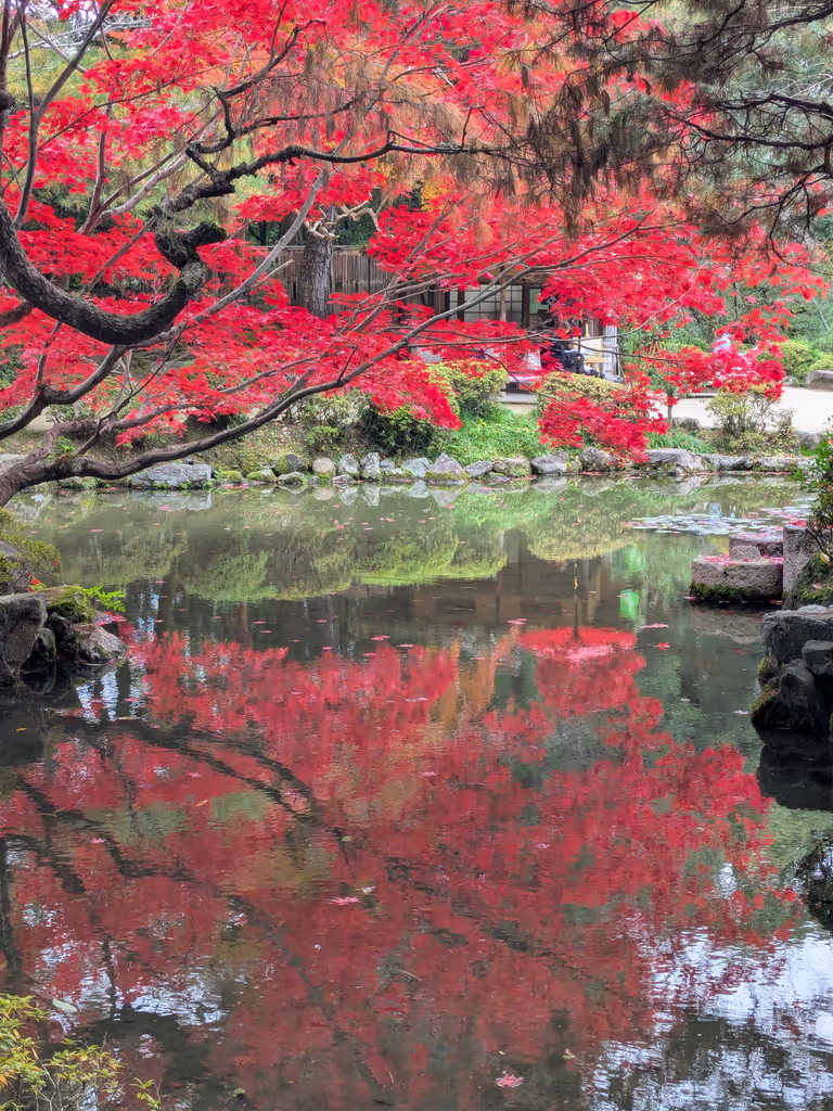Kyoto Private Tour - 