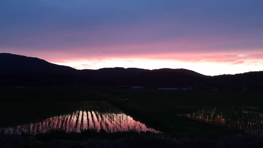 Kyoto Private Tour - 