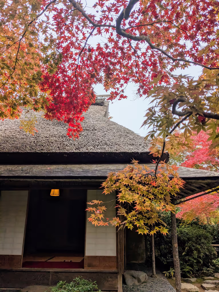 Kyoto Private Tour - 