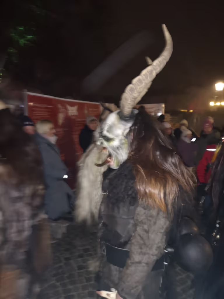 Vienna Private Tour - Weird Austrian winter traditions