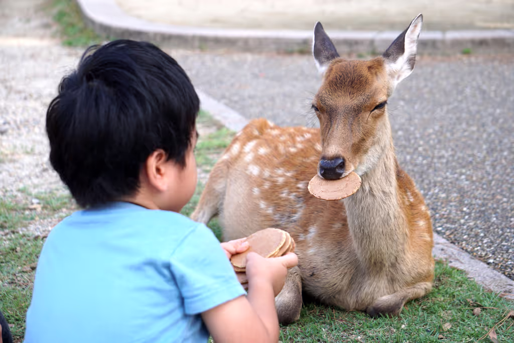 Kyoto Private Tour - 